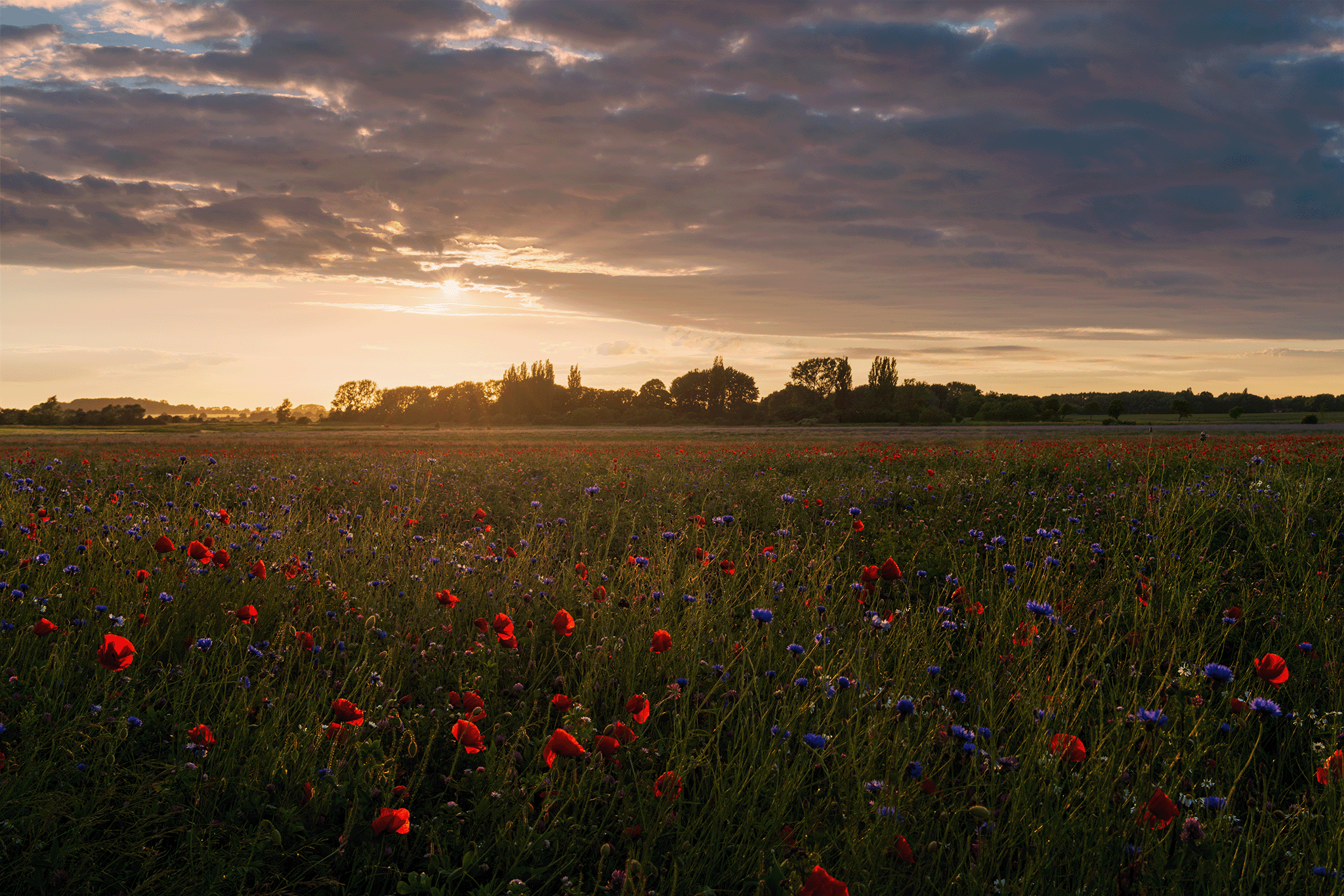 Magische Sonnenuntergänge: Der ultimative Leitfaden für perfekte Fotos – Von der Planung bis zur Nachbearbeitung